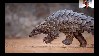 Naturetrek Roadshow Ghanas Pangolins and Picathartes [upl. by Anselmi]