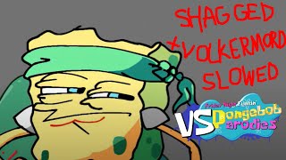 fnf shagged slowed  volkermord slowed [upl. by Adnirem782]