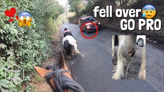 horse fell over😰 amp canter with us  GO PRO HACK  equinemollie [upl. by Oijile]