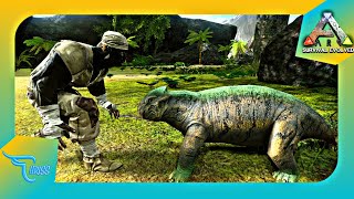 CARA TAMING LYSTROSAURUS SERING DI REMEHIN MANFAATNYA BAGUS BANGET EPS 3  Ark Mobile Indonesia [upl. by Yug]