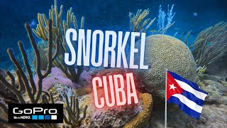 SNORKEL en Cuba 4K [upl. by Eahsed253]