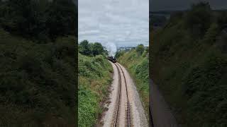 Paignton to Dartmouth steam train steamtrainpaignton [upl. by Gnort]