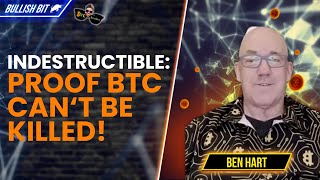 Is This PROOF Bitcoin Is Indestructible [upl. by Montfort547]