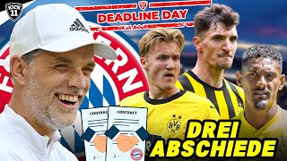 2 BAYERNTRANSFERS FIX SPIELERFLUCHT beim BVB  KickNews [upl. by Avehs]