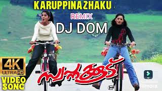 Karuppinazhaku Dance Remix  DJ DOM [upl. by Auhsaj]