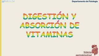 FISIOLOGÍA DIGESTIVA CLASE 13 DIGESTIÓN Y ABSORCIÓN DE PROTEINAS [upl. by Hull]