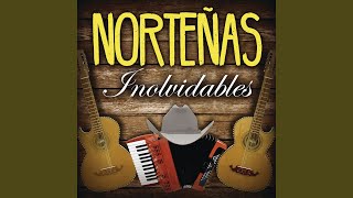 Los Traileros del Norte  En Vivo  Dvd Completo [upl. by Sosthina607]