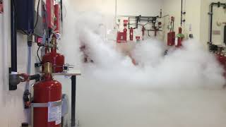 CO2 Fire Suppression System Discharge at Koorsen Training Center [upl. by Acirne]