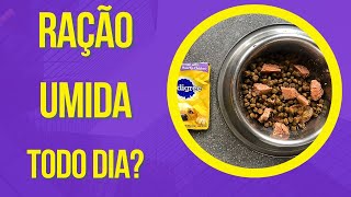 RAÇÃO ÚMIDA PARA CACHORRO FAZ MAL DAR SACHE TODO DIA CÃO NÃO QUER COMER E VOMITA SÓ COME COM MISTURA [upl. by Jordon925]