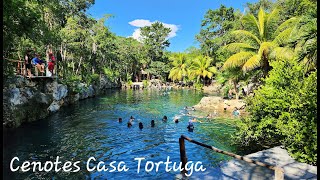 Cenotes Casa Tortuga Tulum Quintaa Roo Mexico [upl. by Kandace]