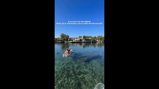 Manatees at Crystal River [upl. by Knudson173]