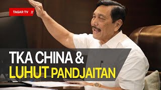 Isu TKA China dan Sentimen Negatif Terhadap Luhut Pandjaitan  Stanislaus Riyanta  Tagar [upl. by Tnert438]