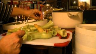 Dehydrating Banana Peppers with my Nesco Dehydrator amp Sealing it With My Food Saver V3245 [upl. by Ydiarf]