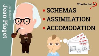 Schemas Assimilation and Accomodation Jean Piagets Epistemological Concepts [upl. by Alleris]