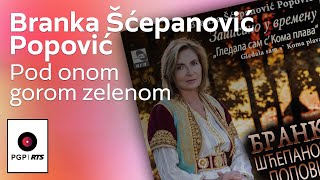 Branka Scepanovic  Pod onom gorom zelenom  Audio 2020 HD [upl. by Ybroc233]