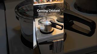 1st Time Canning Chicken  What can go Wrong [upl. by Eversole827]