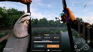 fishing planet everglades tarpon [upl. by Grace]