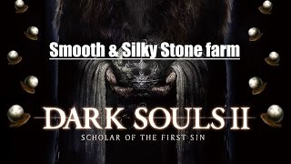 Dark Souls II SOTFS  Smooth amp Silky Stone farm [upl. by Ayyn]