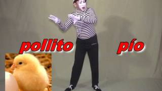 MIMO POLIFACETAS BAILANDO EL POLLITO PIO [upl. by Yesllek761]