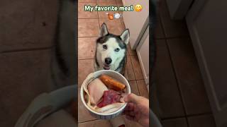 MY HUSKY FAV MEAL🍗 music amor huskiesy funny huski puppy huskii dog siberianhusky husky [upl. by Arrais]