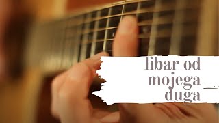 Libar od mojega duga Instrumental [upl. by Gonta]