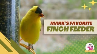 What is The Best Finch Feeder for my yard [upl. by Aryam735]