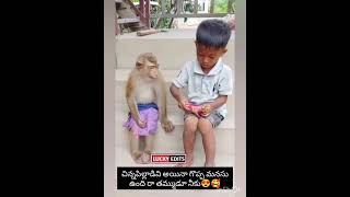 Chinnapillavadi ayena manchi manasu undhi ♥️👌🥰goodheartedman love like share subscribe [upl. by Adnik]