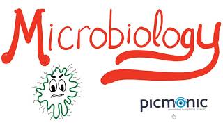 Microbiology Part 1 Introduction  Actinomyces israeli Listeria Diphtheria Nocardia  Picmonic [upl. by Dnomsad]