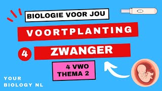 4 vwo  Voortplanting  4  Zwanger [upl. by Notaek624]