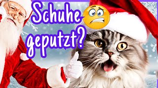 Zum Nikolaustag 🎅 Tierisch LUSTIGE Grüße zum Teilen 😻 [upl. by Annahsirhc]