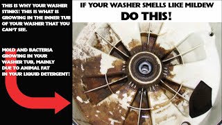 8 Steps To Clean A Smelly Mildew Washing Machine [upl. by Pathe26]