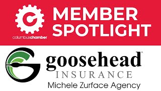 Member Spotlight Video  Goosehead Insurance  Michele Zurface Agency [upl. by Steady]