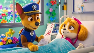 Paw Patrol Ultimate Rescue  Chase Brings Skyes Test to Sick Skype🌈Verry Funny Story Rainbow 3 [upl. by Esikram]