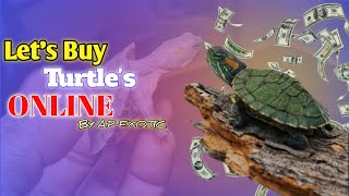 Turtles unboxing Baby Red Eared Slider Turtles redearedsliderturtle redearedsliderturtel [upl. by Tnaryb]