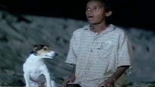 Godavari Comedy Scene  Animated Dog Talking To His Master [upl. by Calvert]