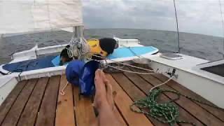 SAILING WITH SALTY DOGS ON THE WHARRAM CATAMARAN TIKI 21 [upl. by Muryh591]