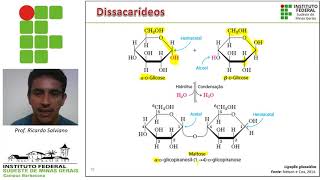 Carboidratos parte II [upl. by Rahal]