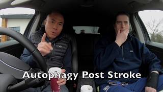 Autophagy Post Stroke [upl. by Shatzer84]