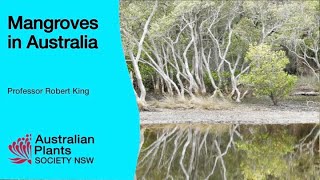 Mangroves in Australia [upl. by Naoma290]