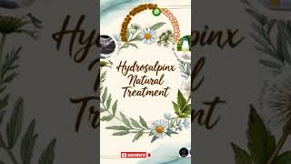 Hydrosalpinx natural treatment How to Cure hydrosalpinx [upl. by Ayotac]