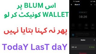 How to connect wallet on blum hurry up 21 October 2024 [upl. by Derk]