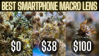 Best Smartphone Macro Lens  iPhone 13 Pro Max Macro Mode vs Apexel Macro Lens vs Moment Macro Lens [upl. by Kayle]