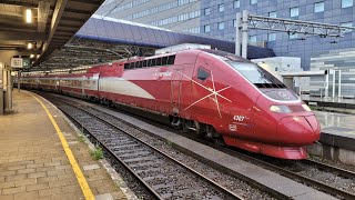 Trains At Brussels South BruxellesMidiBrusselZuid Railway Station 2082024 [upl. by Yanrahc]