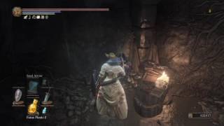 DARK SOULS™ III Gesture Locations Silent Ally [upl. by Igic]