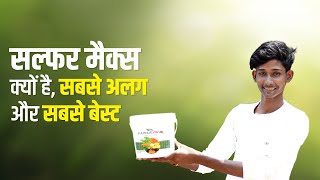 Sulphur 90 सल्फर मैक्स की पूरी जानकारी 🌱 Best Sulphur Product [upl. by Walli]