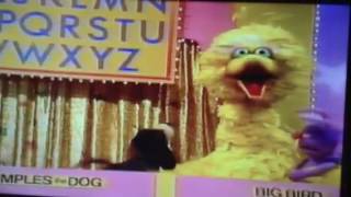 My Sesame Street Home Video The Alphabet Game Alphabet Treasure Hunt Part 5 [upl. by Anyalram]