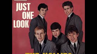 The Hollies Just One Look 1964 [upl. by Hekker370]