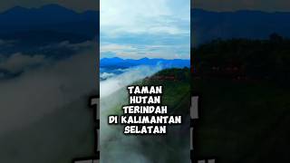 Taman Hutan Terindah Di KALIMANTAN SELATAN trending shorts [upl. by Anelac792]