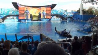 One Ocean shamu show [upl. by Annecorinne]