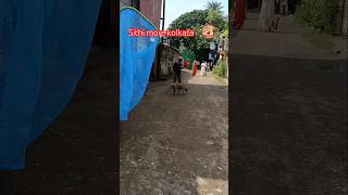 Kolkata catching blind dog and treatment for shelter difficult catching karon dog ta pregnant [upl. by Nonnah]